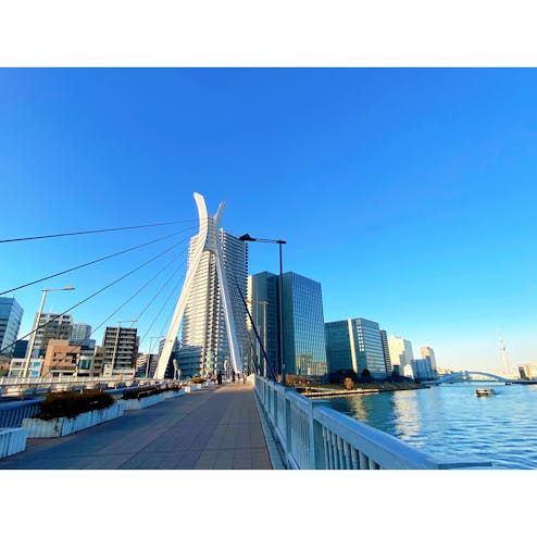 中央大橋の投稿写真 感想 みどころ 月島 中央大橋 東京スカイツリー トリップノート 中央大橋の投稿写真 感想 みどころ 月島 中央大橋 東京スカイツリー トリップノート