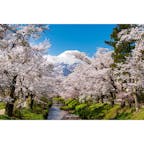 忍野八海
前日は曇りで富士山頂見えなかったので一泊してねばった。僅かな時間だけど山頂見れたのでよかった。