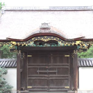 大徳寺唐門(京都三唐門)

方丈前庭にある国宝・唐門は、聚楽第にあったものを村上周防守が譲り受けたもので、 もとは勅使門の西にあったが、明治中頃になって明智門があった現在の場所に移建された。 　切妻造、檜皮葺、前後軒唐破風付の向唐門であり、本願寺と豊国神社の唐門とともに「桃山の三唐門」と呼ばれている。 　豪華な彫刻や金具の豊富さに特徴があり、日光東照宮の日暮門の原型となっている。

#サント船長の写真　#京都　#唐門　#京都三大唐門