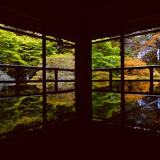 滋賀　旧竹林院
テーブルに反射した庭園で有名。