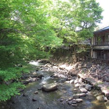 静岡県修善寺温泉。竹林を抜けた橋の上からの眺めです。新緑の時期、川も清らかな流れで、空気も美味しかったです。