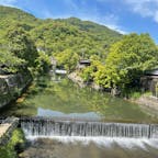 京都嵐山。いまは新緑が見頃🌿✨
晴れてると圧巻の景色🥺
紅葉もいいけど
新緑の時期も絶景が見れる🥰

#京都#嵐山#新緑