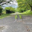 インクライン
蹴上インクラインは、南禅寺の近くにあり、全長582mの世界最長の傾斜鉄道跡で、高低差約36メートルの琵琶湖疏水の急斜面で、船を運航するために敷設された傾斜鉄道の跡地です。

#サント船長の写真　#京都　#インクライン