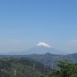 伊豆シャボテン動物公園から見えた富士山。夏日で、春霞がかかってなくて、はっきり見えました。
