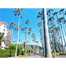 逗子　逗子マリーナ　海辺の景色