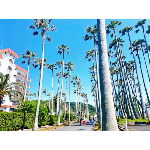 リビエラ逗子マリーナ