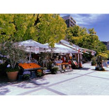 平和記念公園すぐそばのカフェ！雰囲気がすてき　オレンジジューステイクアウトしようと思ったけど現金なくて買えなかった！