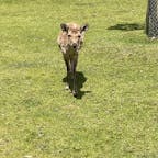 5/1〜5/2 
奈良旅行、鹿可愛い😍
仏像も沢山みて楽しいゴールデンウィークやった