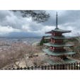新倉富士浅間神社
桜の満開時かつ天気のいい時にもう一度行きたいな
#202103 #s山梨