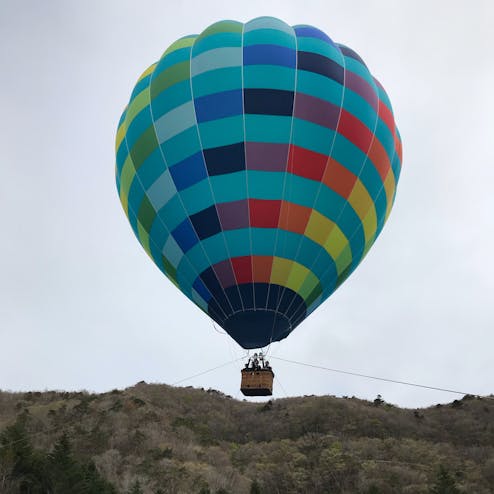富士芝桜まつり