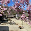福島県南会津　大内宿
4月末でも山桜が咲いていた