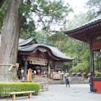 すごいパワーを感じた気がする！杉が立派でした！

#北口本宮冨士浅間神社　#千年杉