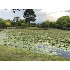 衆楽園　その１