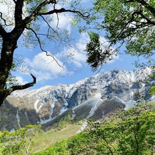 水の山　大山へ
下山ルート
行者谷からの1コマです