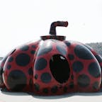 直島 赤かぼちゃ。