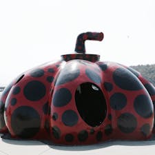 直島 赤かぼちゃ。