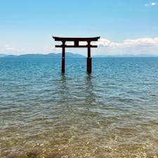 琵琶イチで出会えた🚴‍♀️