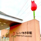 🌷チューリップ四季彩館