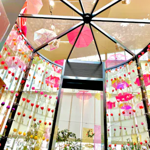 🌷チューリップ四季彩館