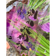 毎月御朱印いただきに行く名古屋の別小江神社。
こんな御朱印はじめてです。