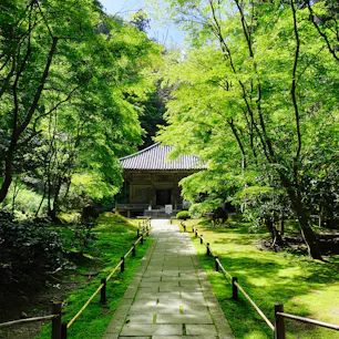 円通院、青もみじがとってもさわやかでした🍃