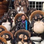 信楽焼
狸の中に納まるサント船長です♪ 同化して居ますね(笑)

#サント船長の写真　#滋賀県　#信楽　#日本六古窯