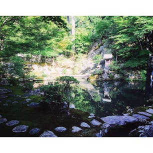 #岐阜
#慈恩禅寺
#旅の振り返り