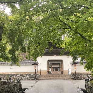 興聖寺

竜宮門です♪

#サント船長の写真　#門巡り