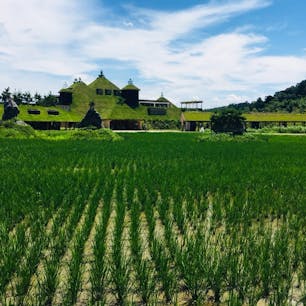 ラ コリーナ近江八幡

冬は池だったのに田んぼへ変身してた(*^^*)