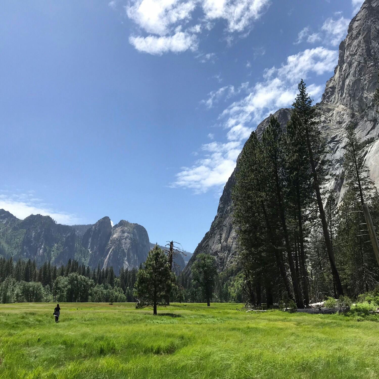 ヨセミテ国立公園 Yosemite National Park の投稿写真 感想 みどころ ヨセミテ国立公園 18 5 31 大自然に感動 語 トリップノート