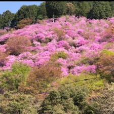 西明寺


#サント船長の写真　#京都