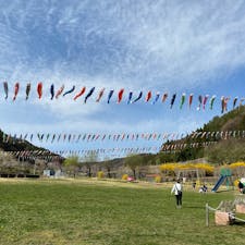 山梨県高根町南きよさと道の駅のこいのぼりの群れ。