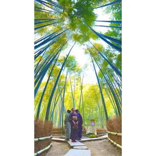 #鎌倉#報国寺#竹#プロ写真