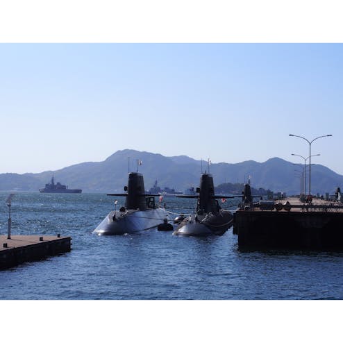 アレイからすこじま