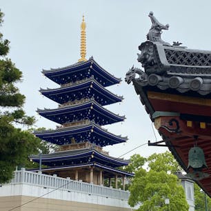 中山観音

西国二十四番札所

#サント船長の写真　#西国霊場札所巡り