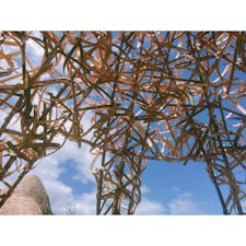 小豆島　中山千牧田　アート