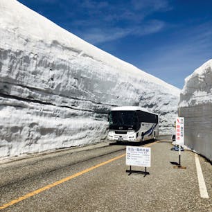 2021.5.15
立山室堂
雪の大谷
例年より壁は低いとのことですが
十分な迫力
天気も最高