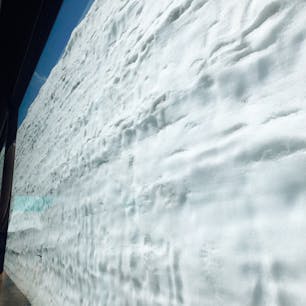 2021.5.15
雪の大谷
50周年
50年前と同じ一車線分だけの雪の壁を再現したらしい。
バスの車窓からこの距離