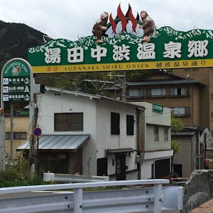 湯田中渋温泉からはお猿さんが入る有名な温泉が近くにあります。