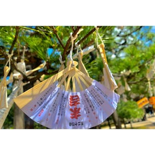 #智恩寺
#おみくじ
#天橋立