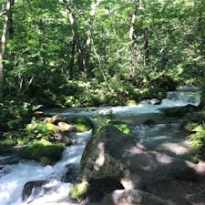 青森　奥入瀬渓流
早朝散歩は気持ち良かったです
マイナスイオンたっぷり
