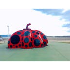 直島　かぼちゃアート　草間弥生