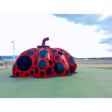 直島　かぼちゃアート　草間弥生