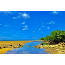 #西表島
#沖縄
#離島
#海
#マングローブ