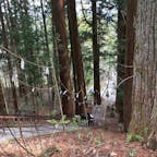 神社への石段　急すぎるでしょ。迂回路も用意されてます。