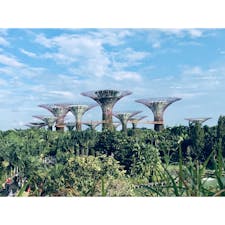 シンガポール　シンガポール植物園　ガーデンズバイザベイ