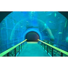 #琵琶湖博物館
#滋賀