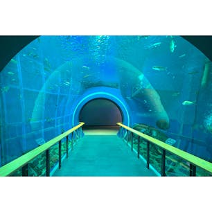 #琵琶湖博物館
#滋賀