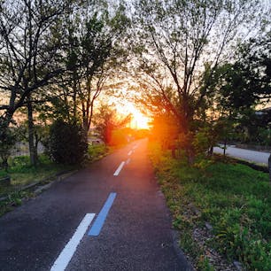 2021.4.22
射水市内（旧 新湊市）
サイクリングロード