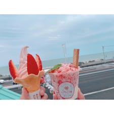 「早川農園」
いちご海岸通り沿いにある早川農園🍓休憩にぴったりです🚗 

♢いちごごおり
♢スペシャル生いちごソフトクリーム